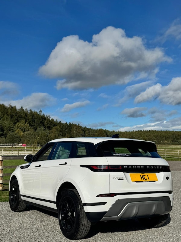 Used Land Rover Range Rover Evoque 2019 for sale - 75385853: Photo 6