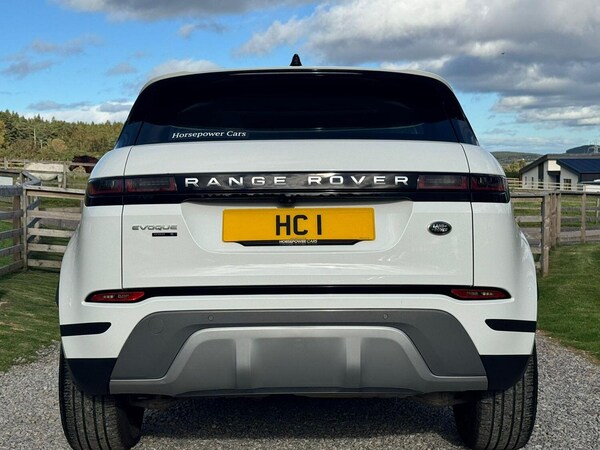 Used Land Rover Range Rover Evoque 2019 for sale - 75385853: Photo 8
