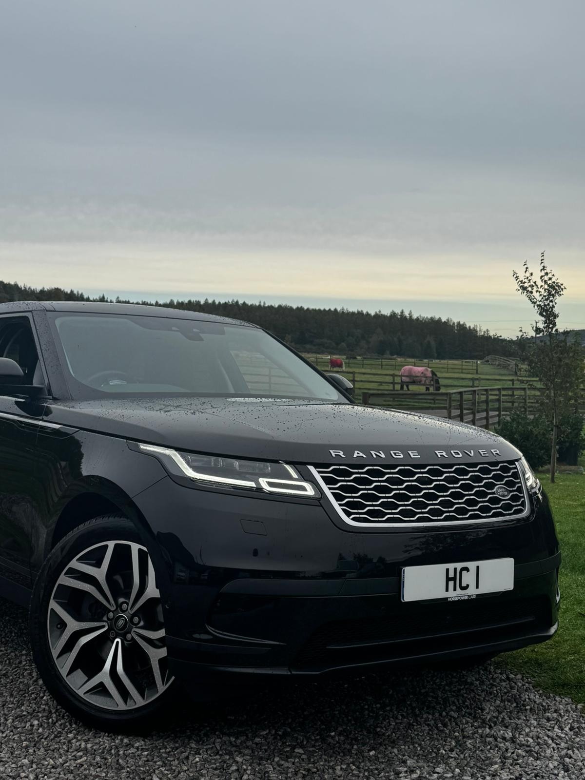 Used Land Rover Range Rover Velar 2017 for sale - 76011446: Photo 4