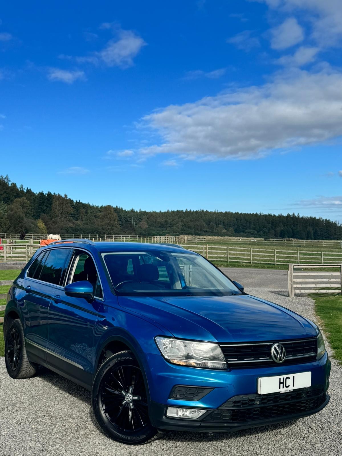 Used Volkswagen Tiguan 2016 for sale - 75938250: Photo 8