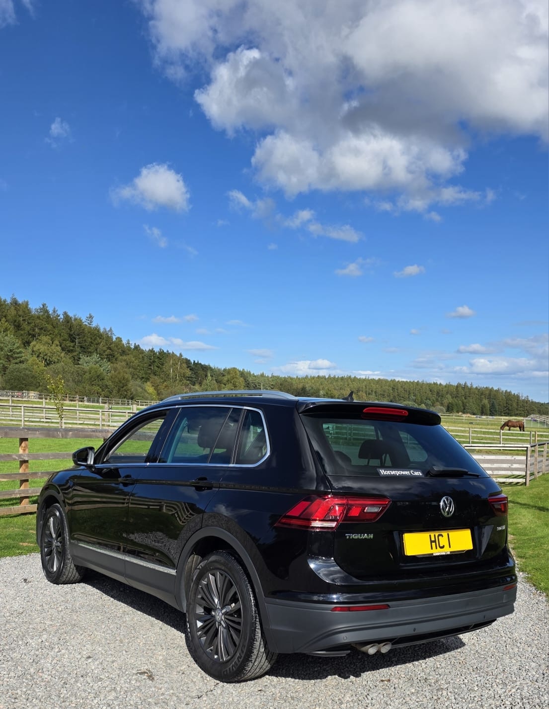 Used Volkswagen Tiguan 2017 for sale - 75881741: Photo 7