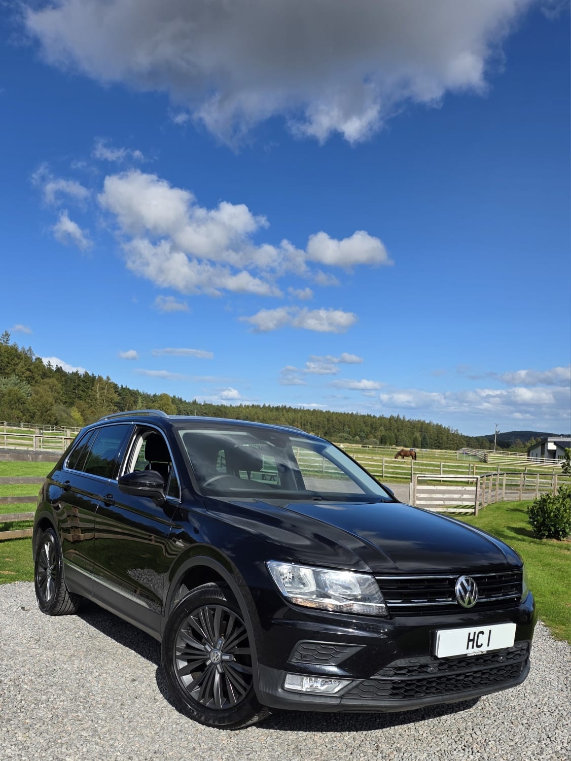 Used Volkswagen Tiguan 2017 for sale - 75881741: Photo 9