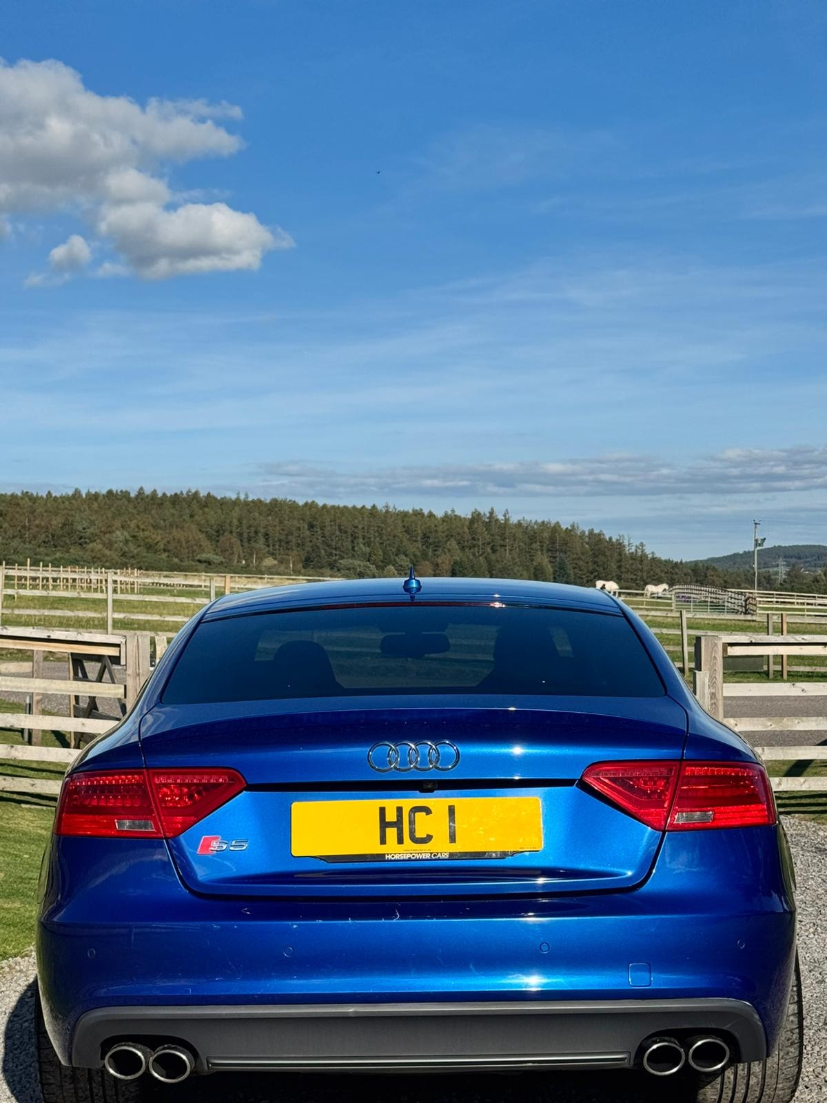 Used Audi S5 2015 for sale - 75994647: Photo 10