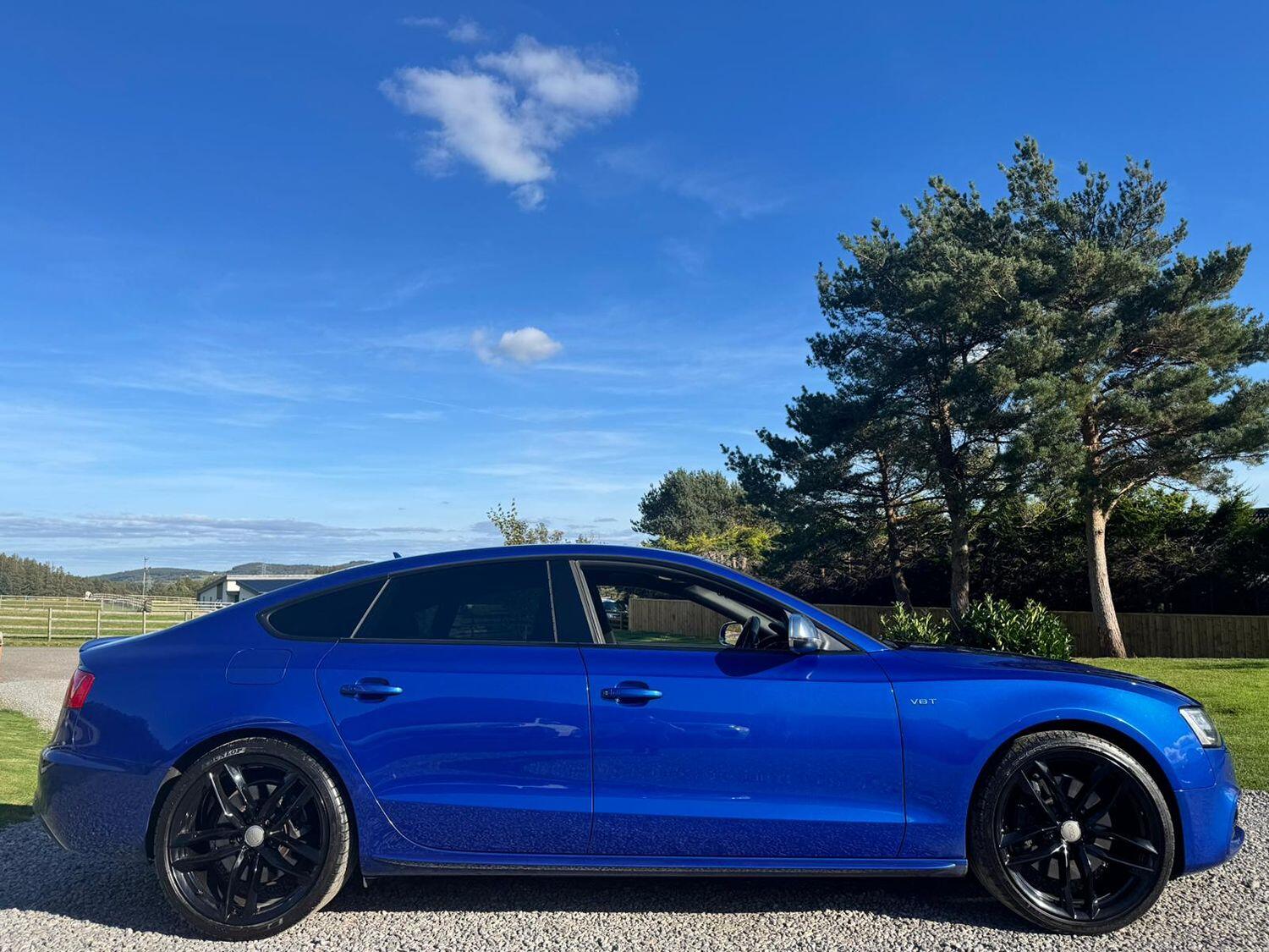 Used Audi S5 2015 for sale - 75994647: Photo 11