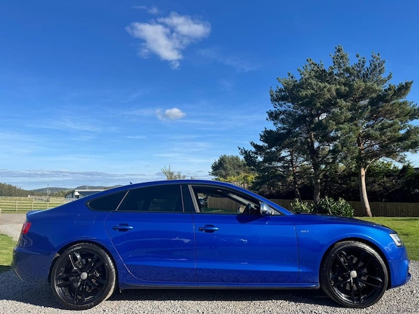 Used Audi S5 2015 for sale - 75994647: Photo 11