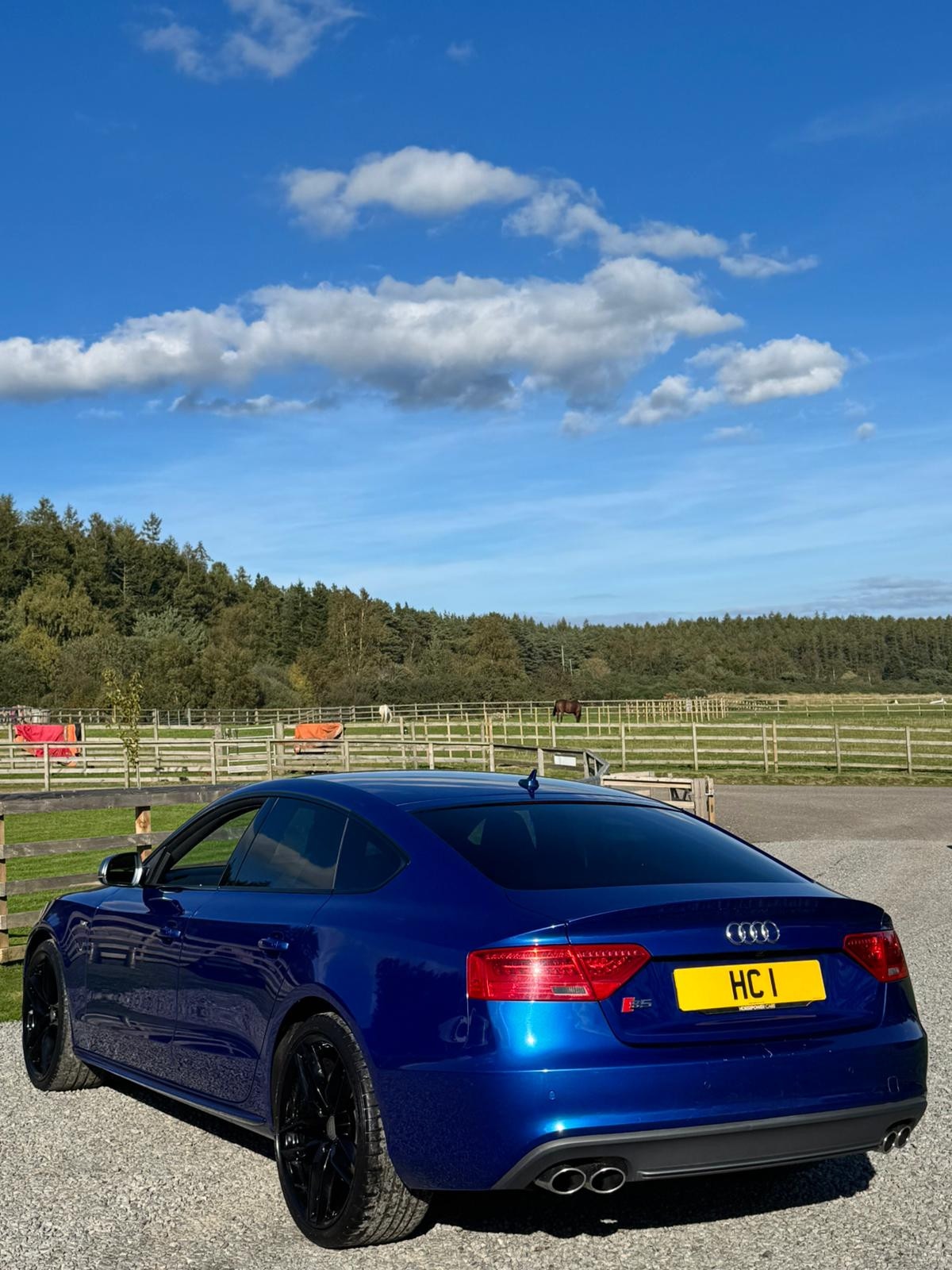 Used Audi S5 2015 for sale - 75994647: Photo 2