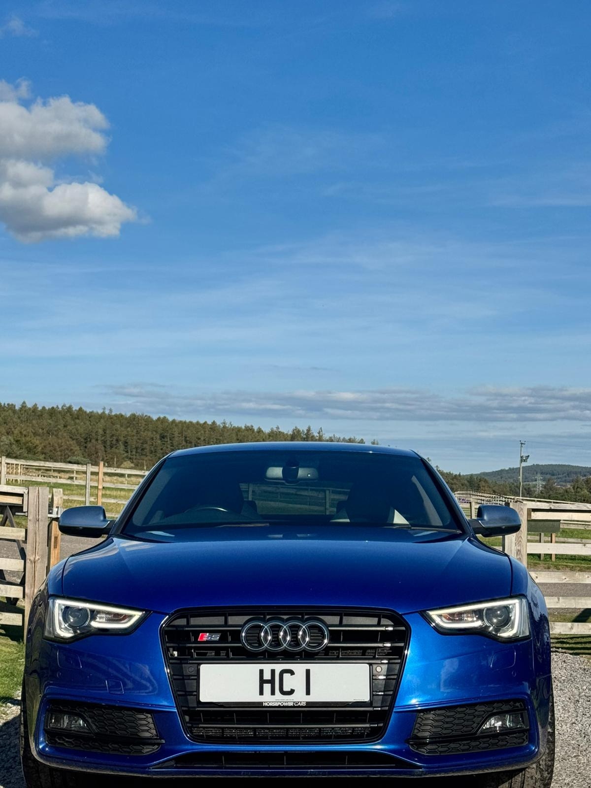 Used Audi S5 2015 for sale - 75994647: Photo 3