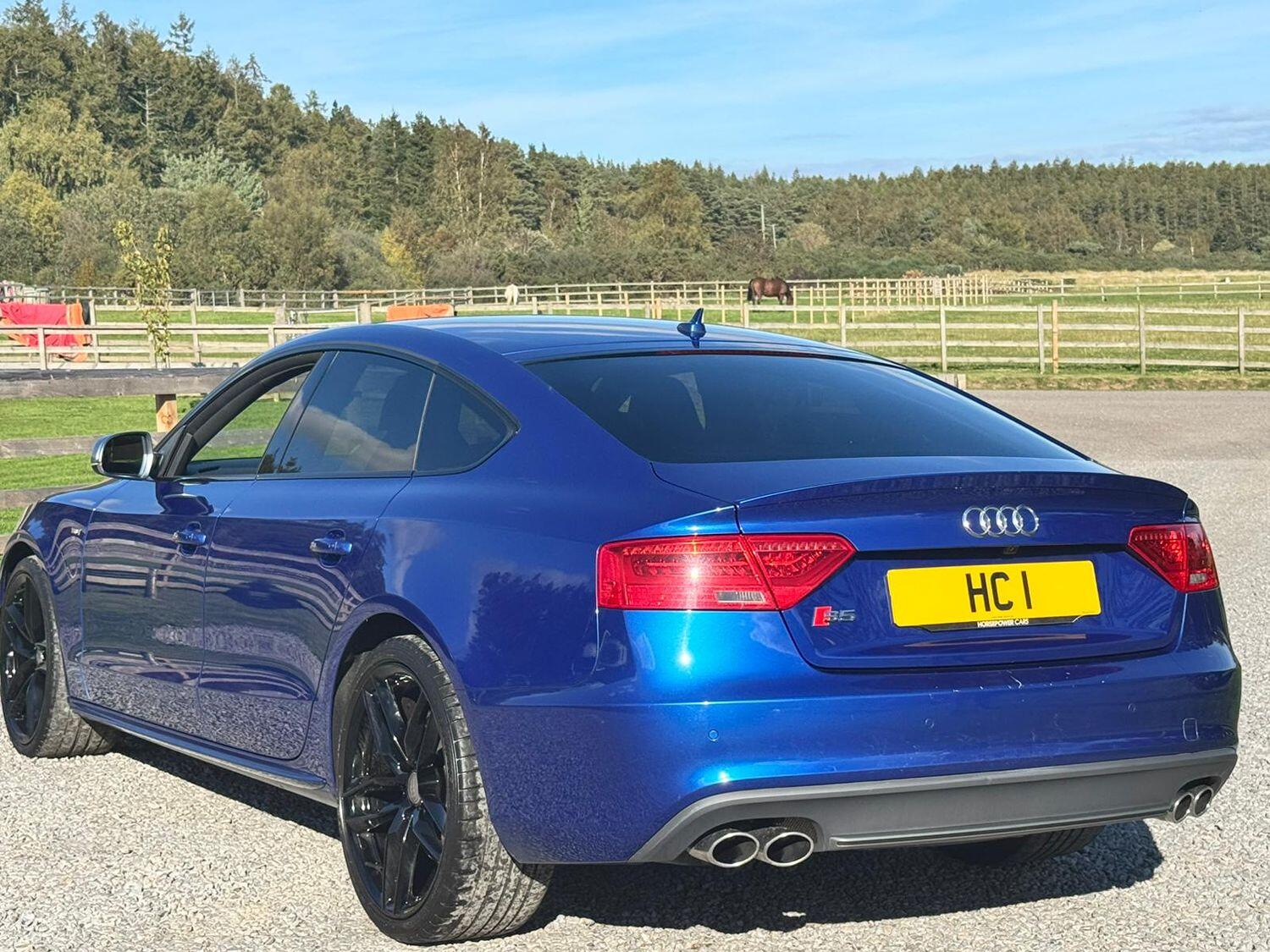 Used Audi S5 2015 for sale - 75994647: Photo 4