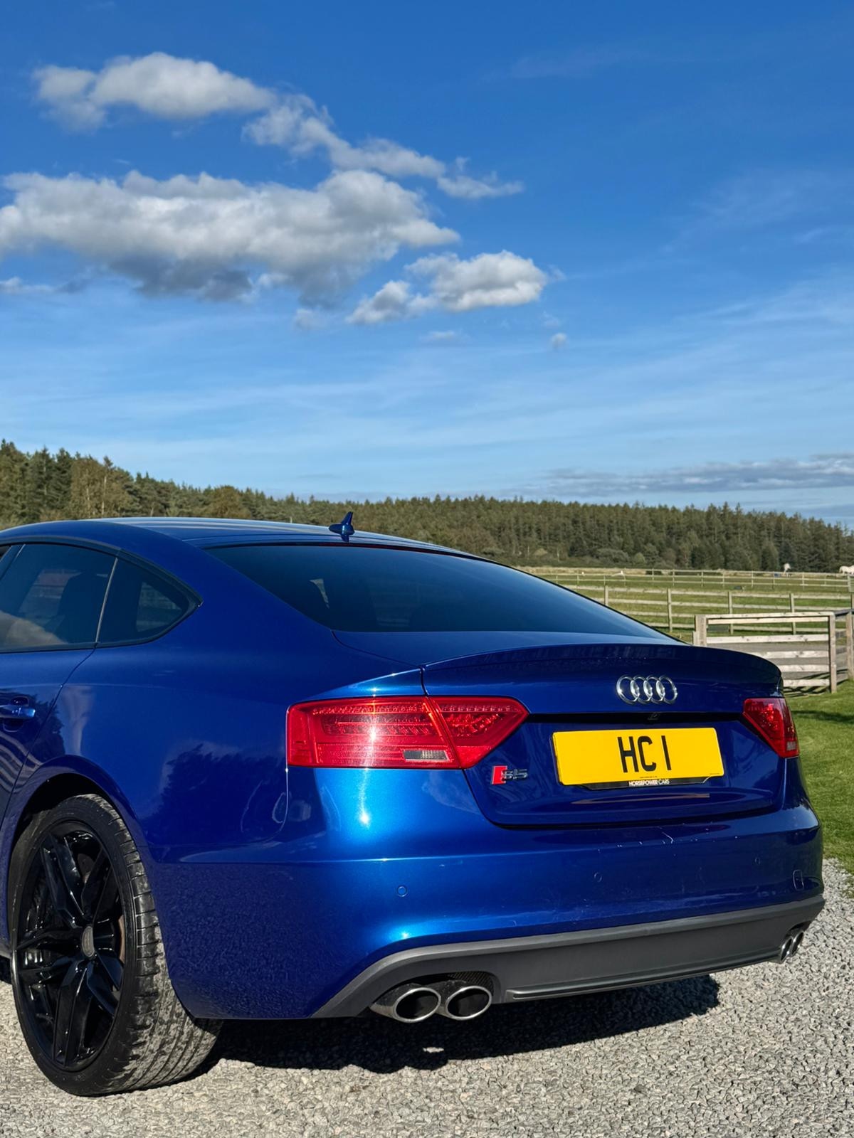 Used Audi S5 2015 for sale - 75994647: Photo 5