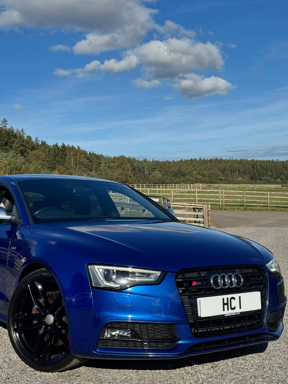 Used Audi S5 2015 for sale - 75994647: Photo 7