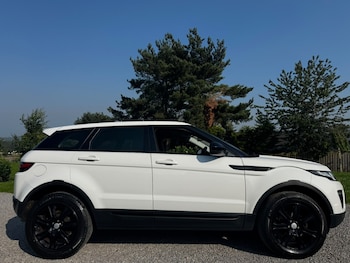 Used Land Rover Range Rover Evoque 2019 for sale - 79156668: Photo