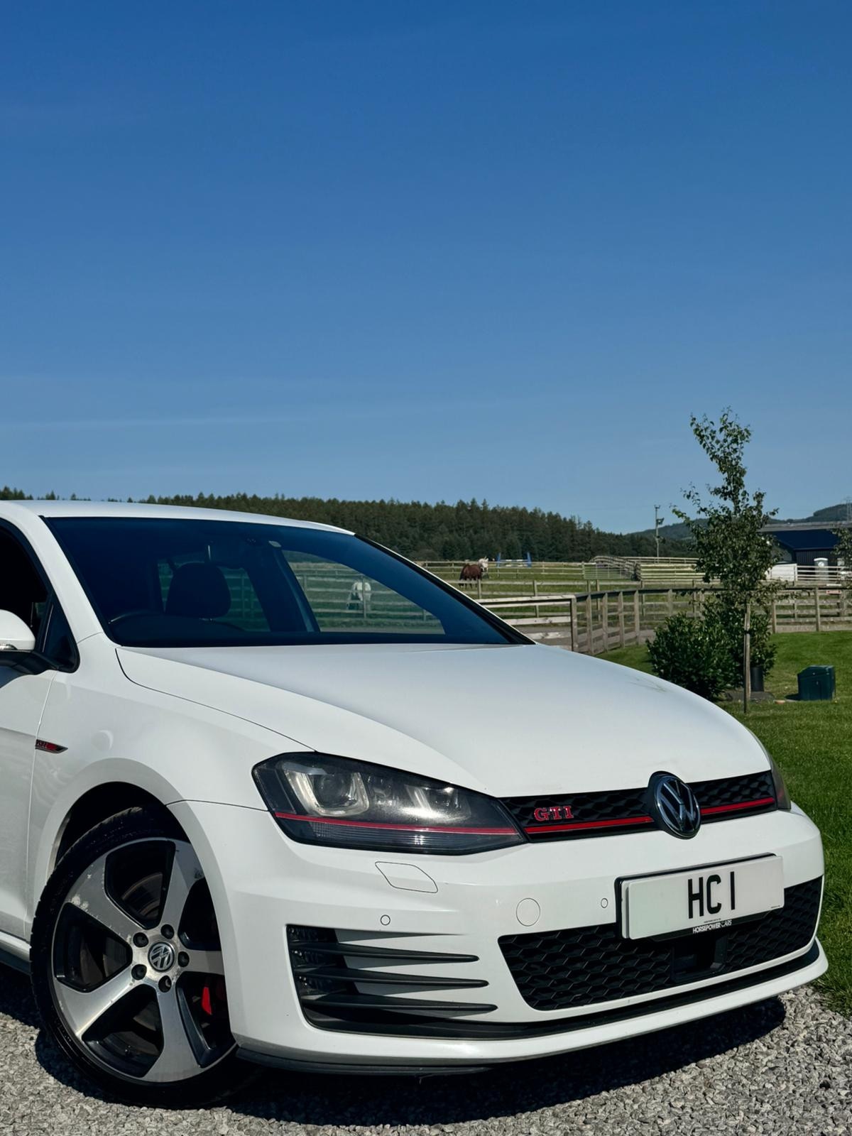Used Volkswagen Golf 2013 for sale - 75504984: Photo 9