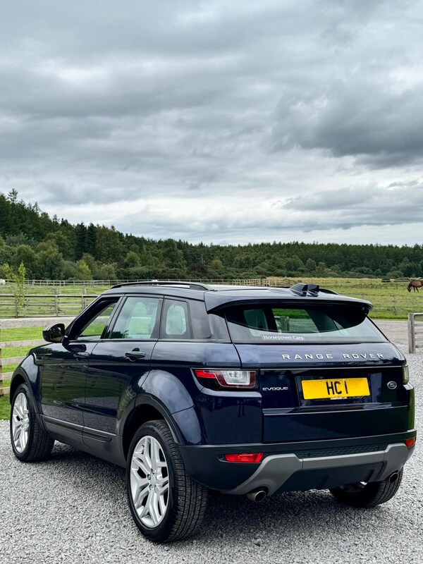 Used Land Rover Range Rover Evoque 2016 for sale - 75385863: Photo 8