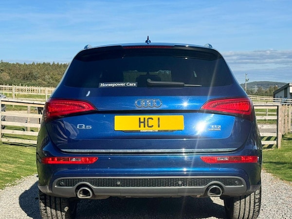 Used Audi Q5 2015 for sale - 76063901: Photo 5
