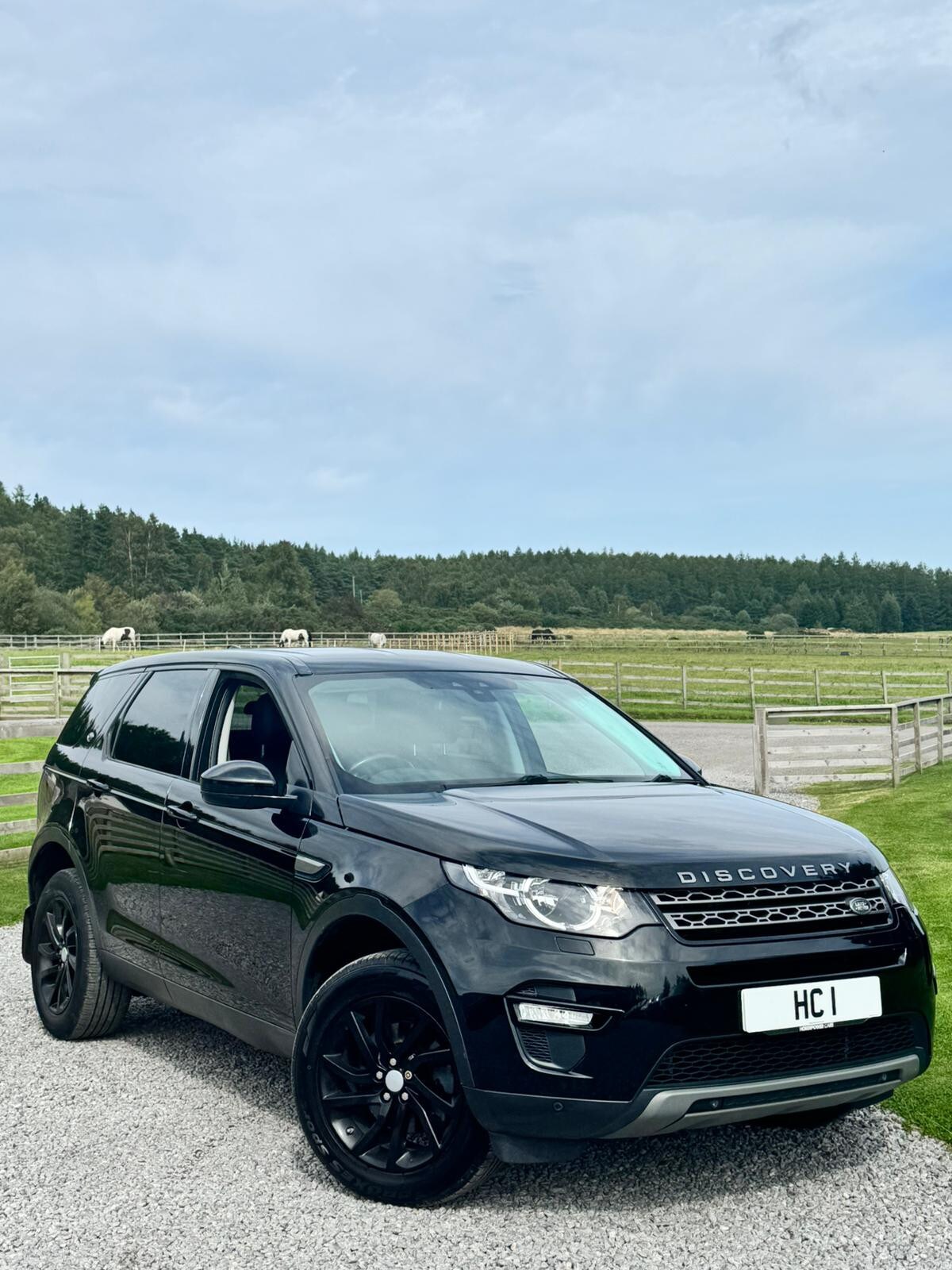 Used Land Rover Discovery Sport 2017 for sale - 75413139: Photo 10