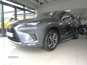Used Lexus NX 2019 for sale - 79159535: Photo