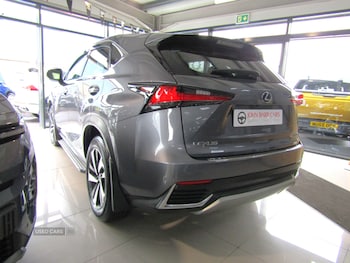 Used Lexus NX 2019 for sale - 79159535: Photo