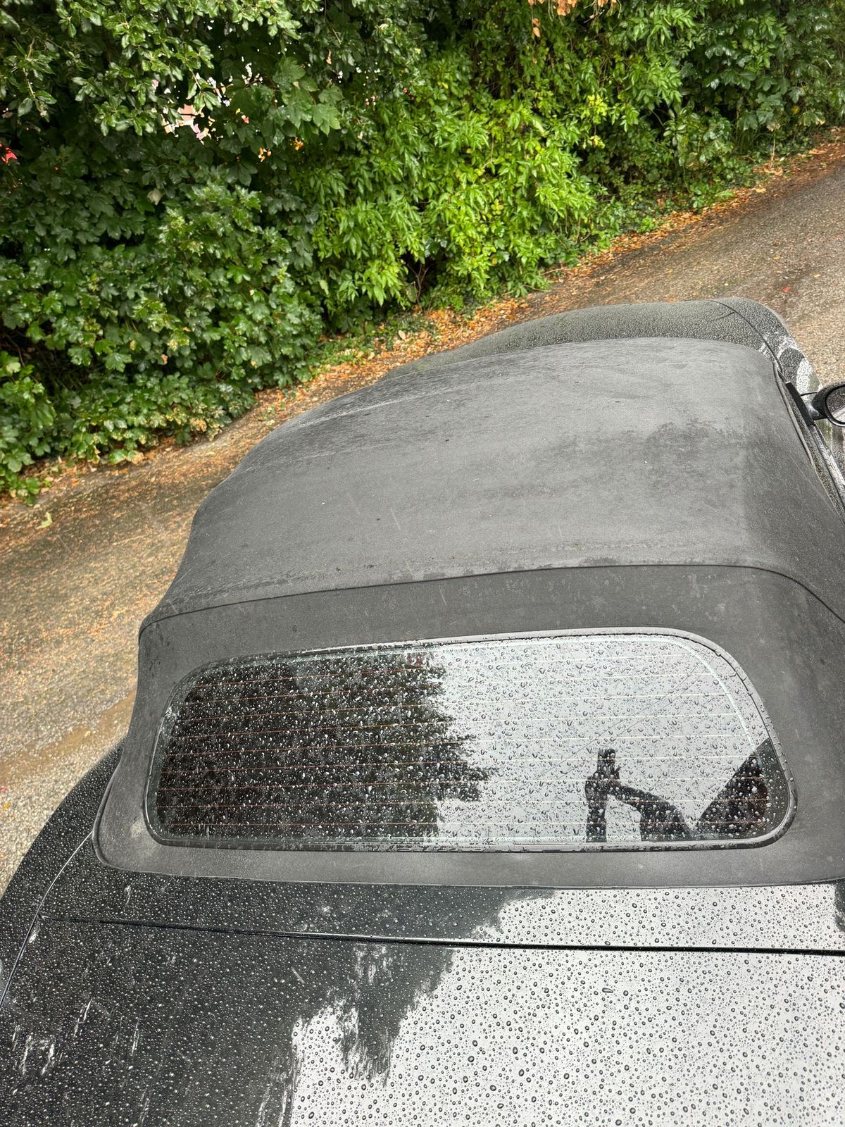 Used BMW Z4 2004 for sale - 76648157: Photo 6