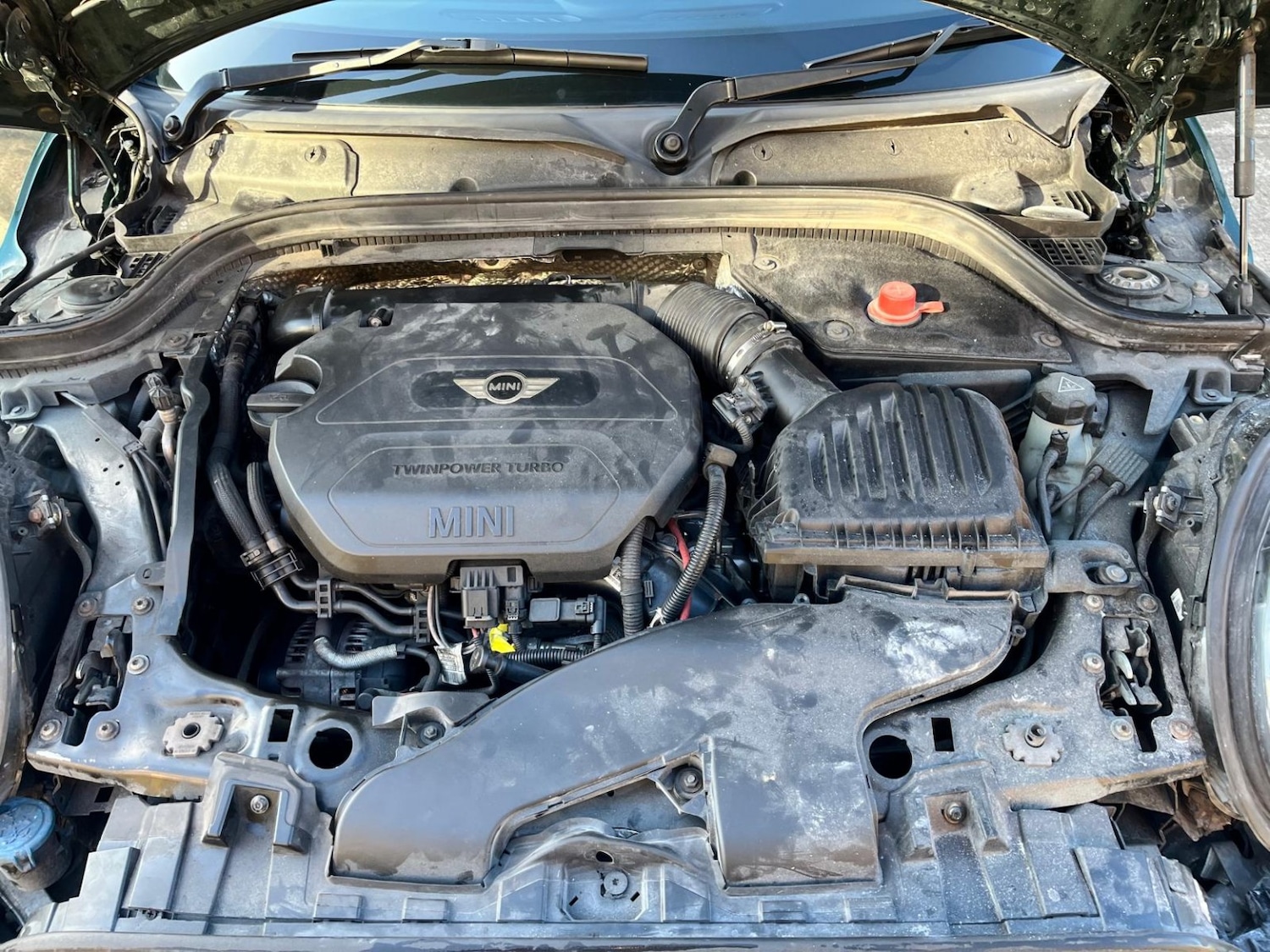 Used MINI Hatch 2014 for sale - 77735771: Photo 6