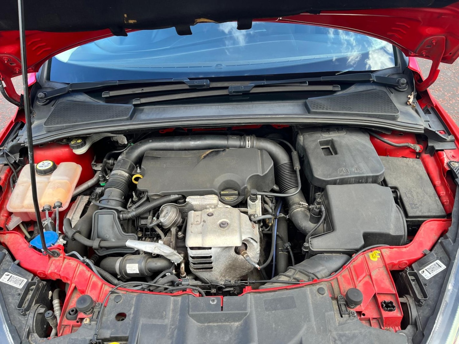 Used Ford Focus 2015 for sale - 78182874: Photo 5