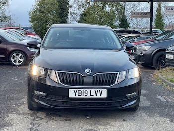 Used Skoda Octavia 2019 for sale - 76740050: Photo