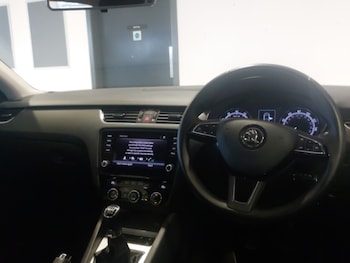 Used Skoda Octavia 2019 for sale - 76975033: Photo