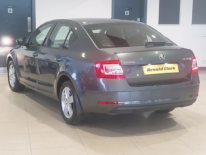 Used Skoda Octavia 2019 for sale - 77078373: Photo 3