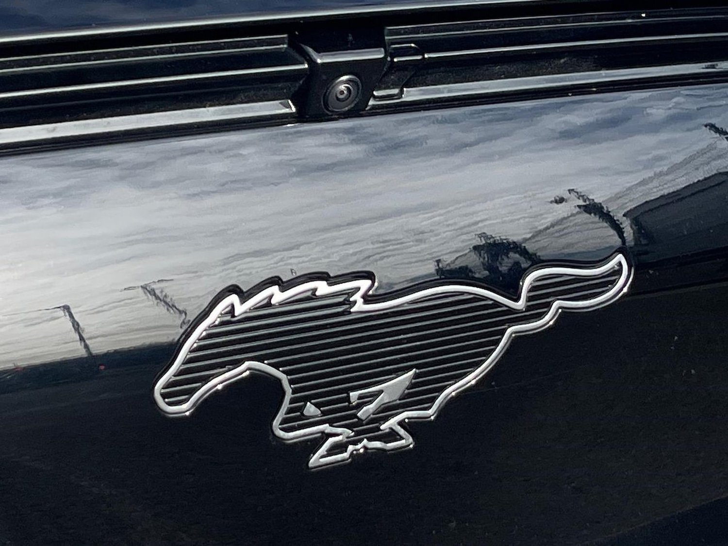 Used Ford Mustang Mach-E 2023 for sale - 78194263: Photo 35