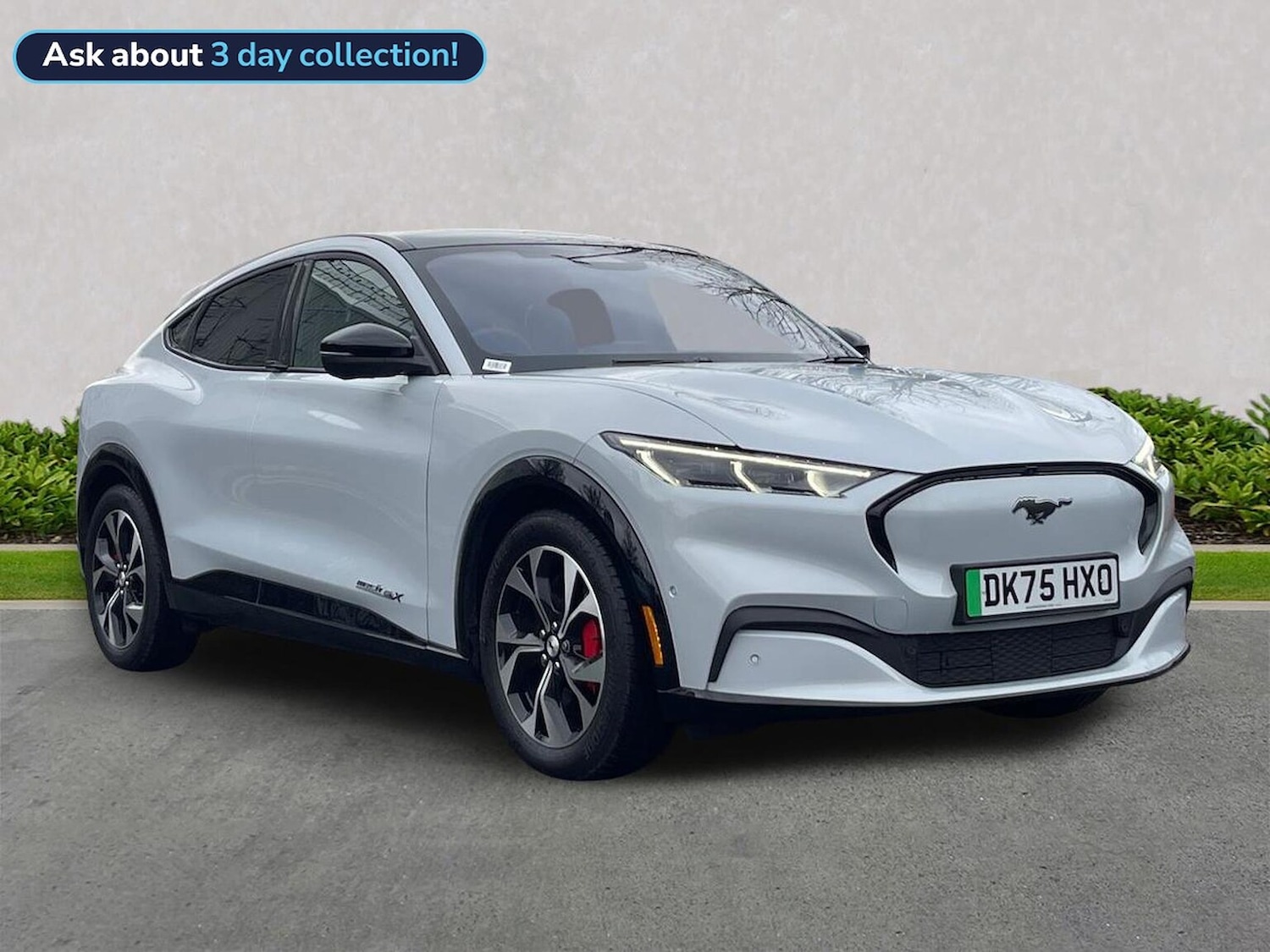 Used Ford Mustang Mach-E 2025 for sale - 77896216: Photo 1