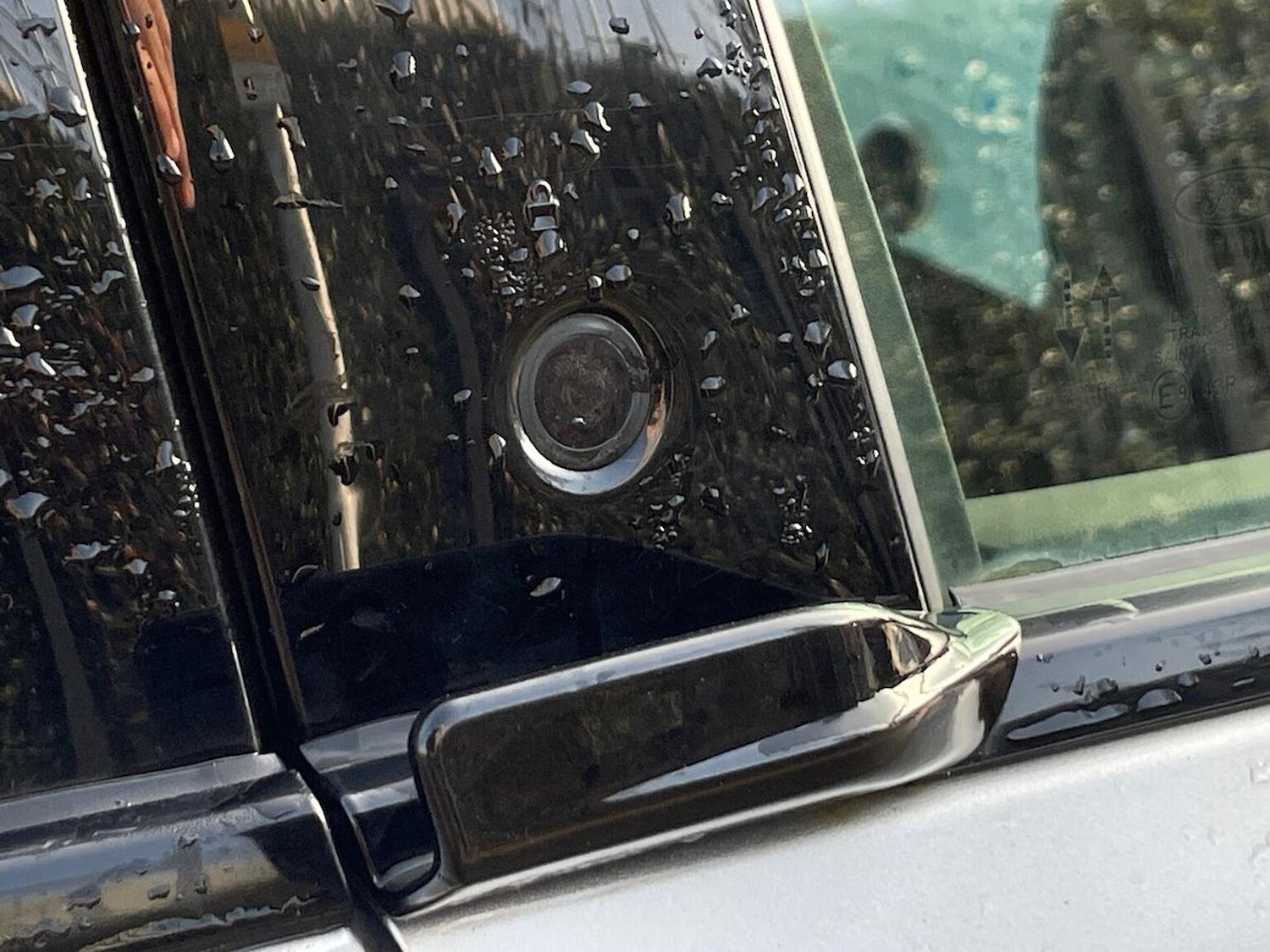 Used Ford Mustang Mach-E 2022 for sale - 77775130: Photo 37