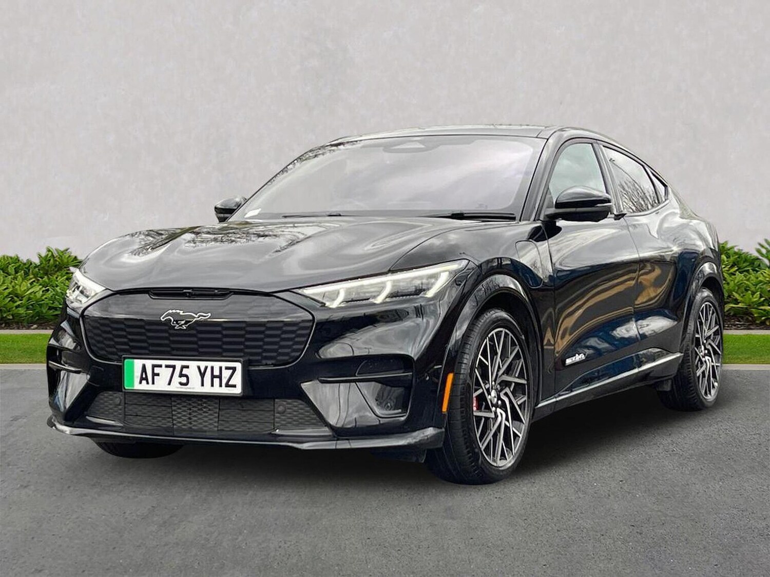 Used Ford Mustang Mach-E 2025 for sale - 77818236: Photo 20