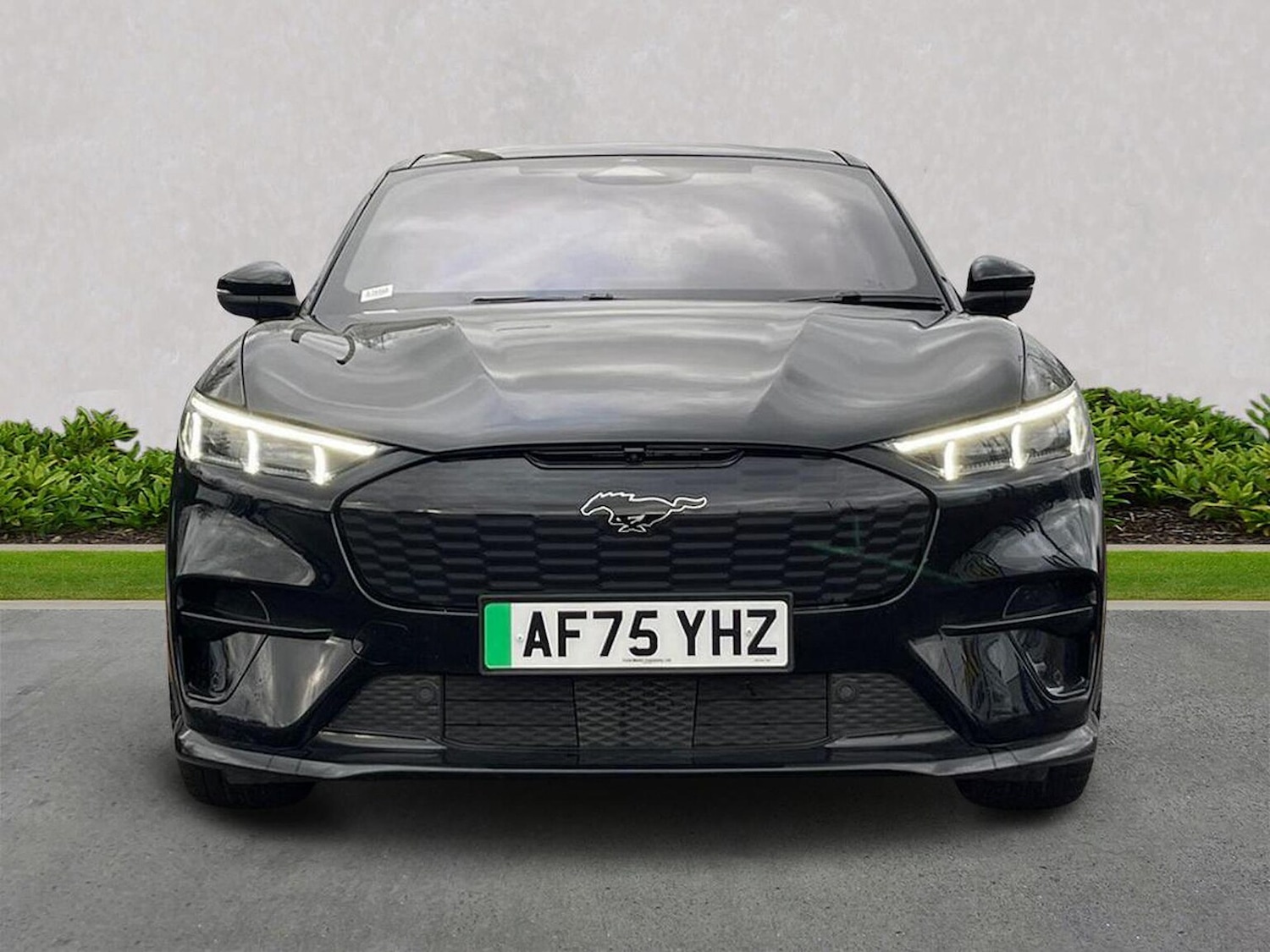 Used Ford Mustang Mach-E 2025 for sale - 77818236: Photo 5