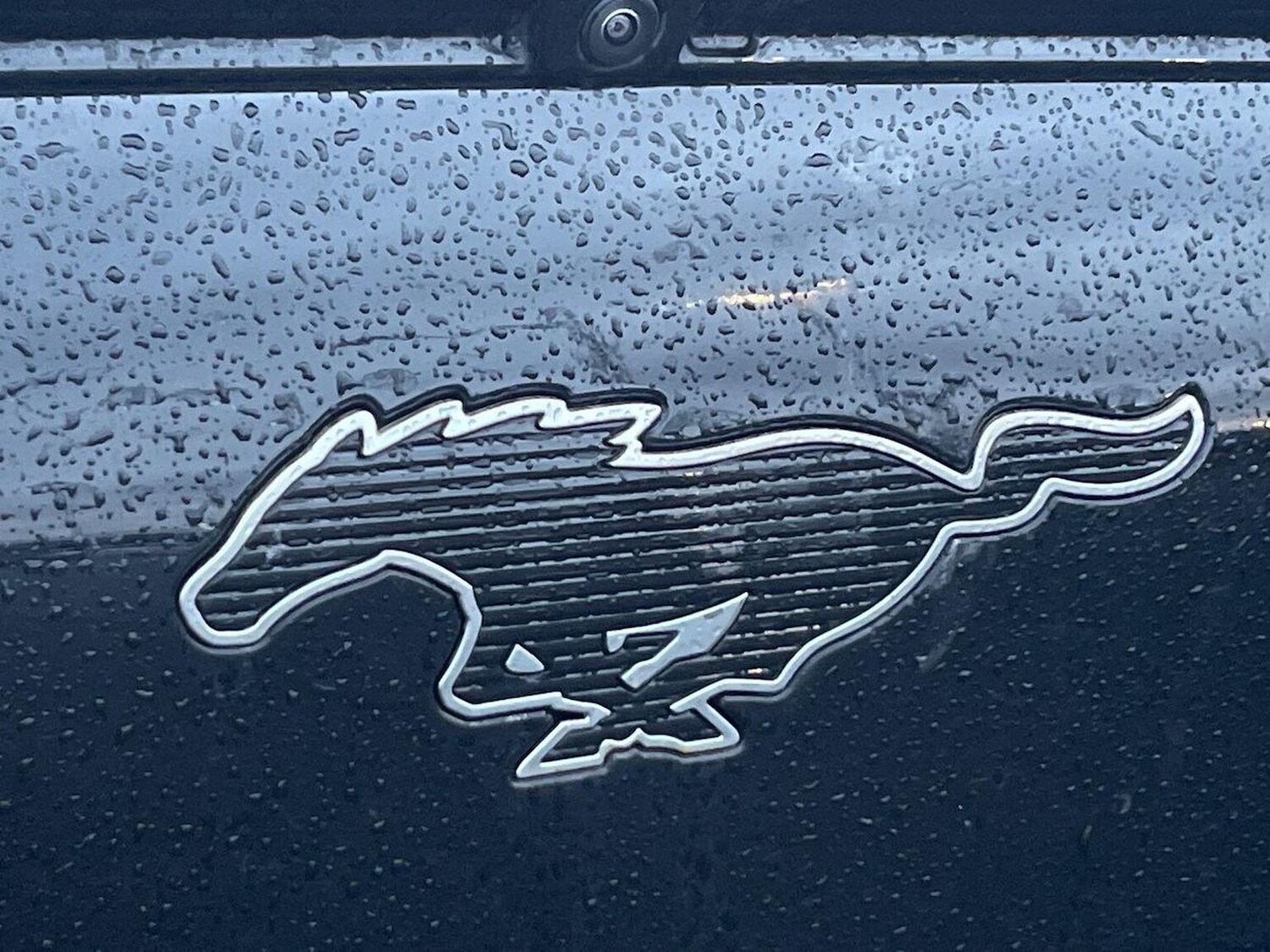 Used Ford Mustang Mach-E 2022 for sale - 77489280: Photo 33