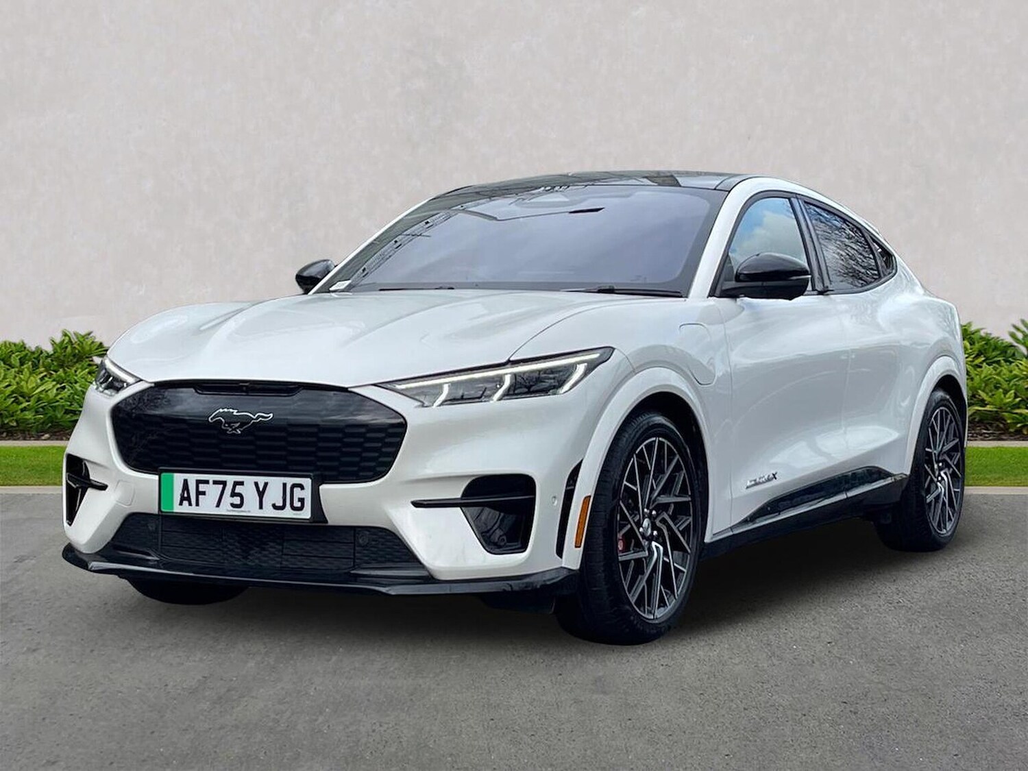 Used Ford Mustang Mach-E 2025 for sale - 77676360: Photo 20