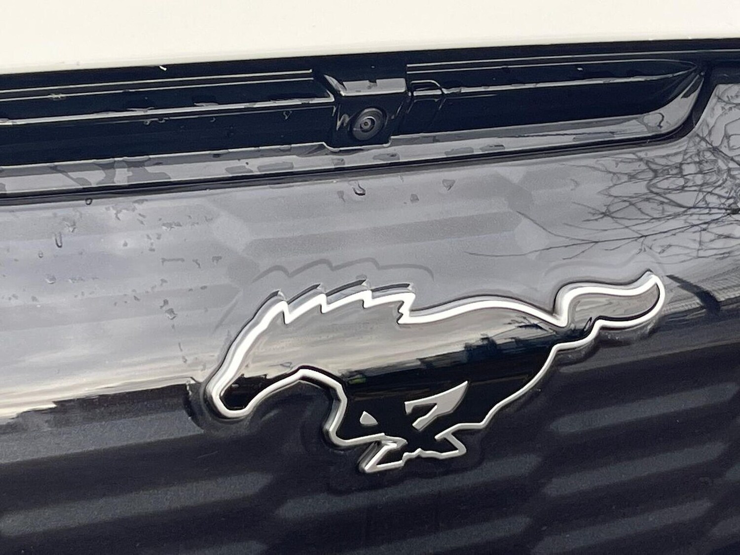 Used Ford Mustang Mach-E 2025 for sale - 77676360: Photo 33