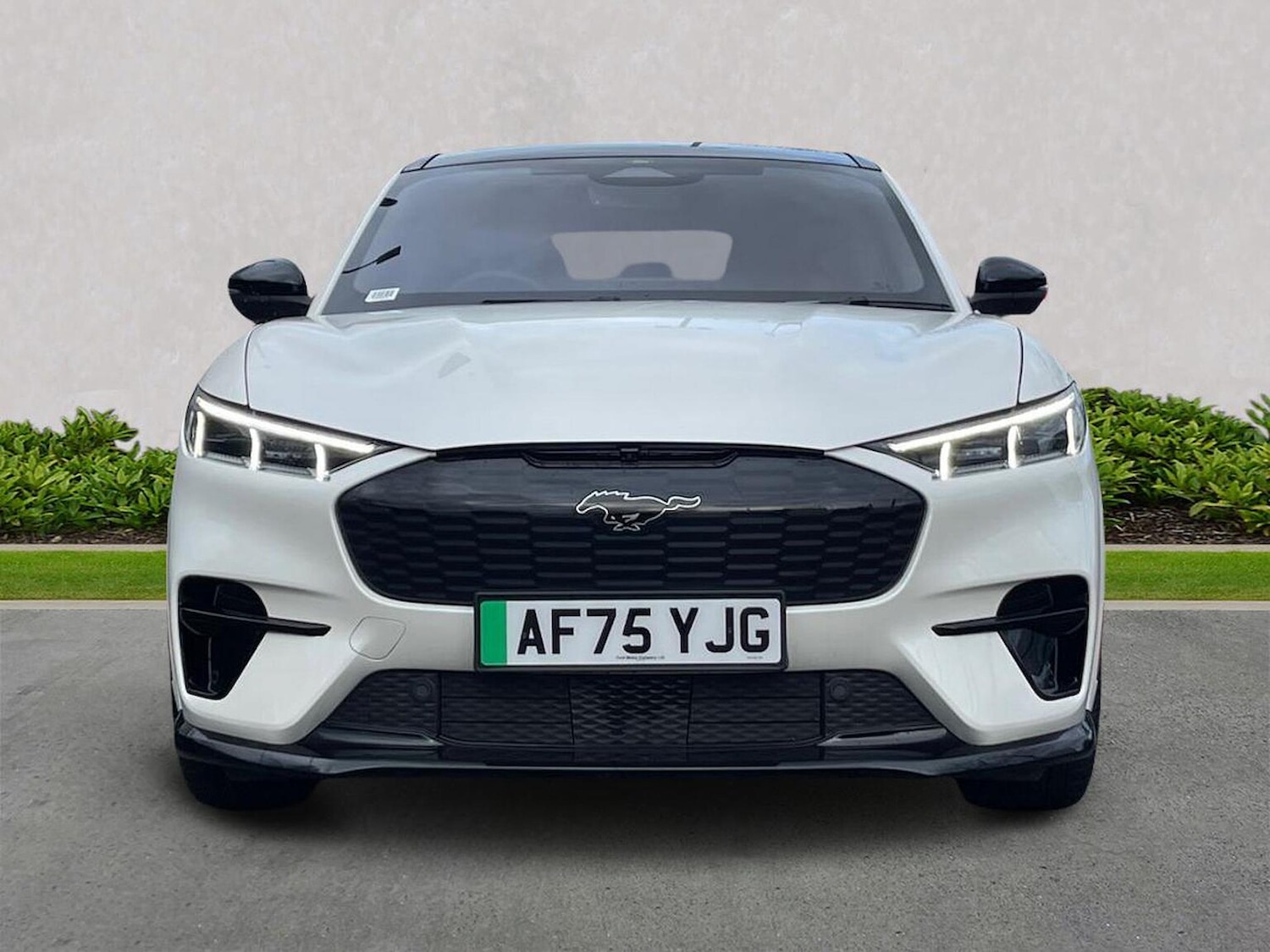 Used Ford Mustang Mach-E 2025 for sale - 77676360: Photo 5