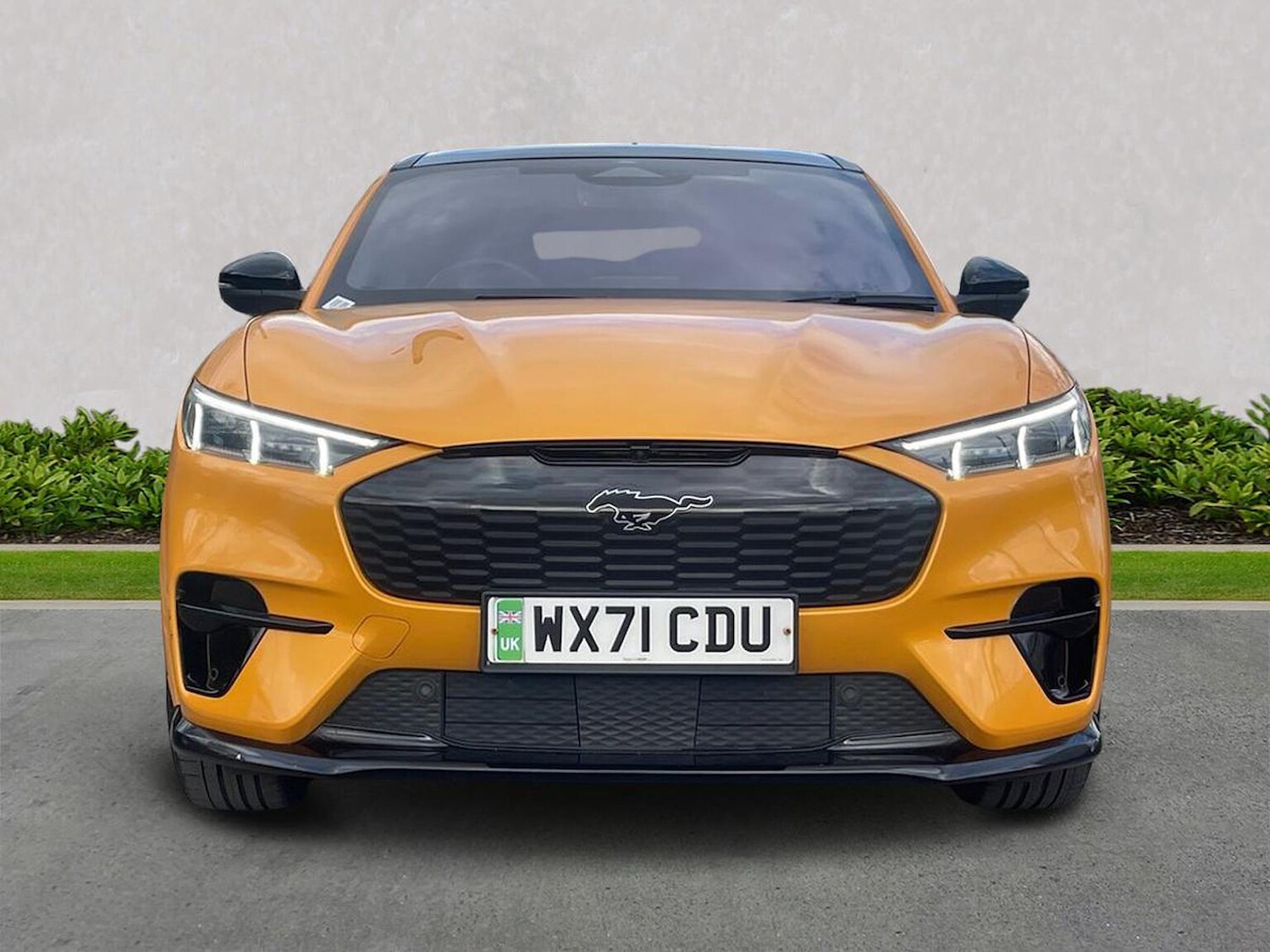 Used Ford Mustang Mach-E 2021 for sale - 78084566: Photo 5