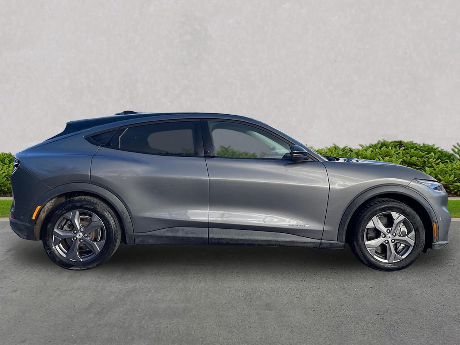 Used Ford Mustang Mach-E 2023 for sale - 77616750: Photo 3