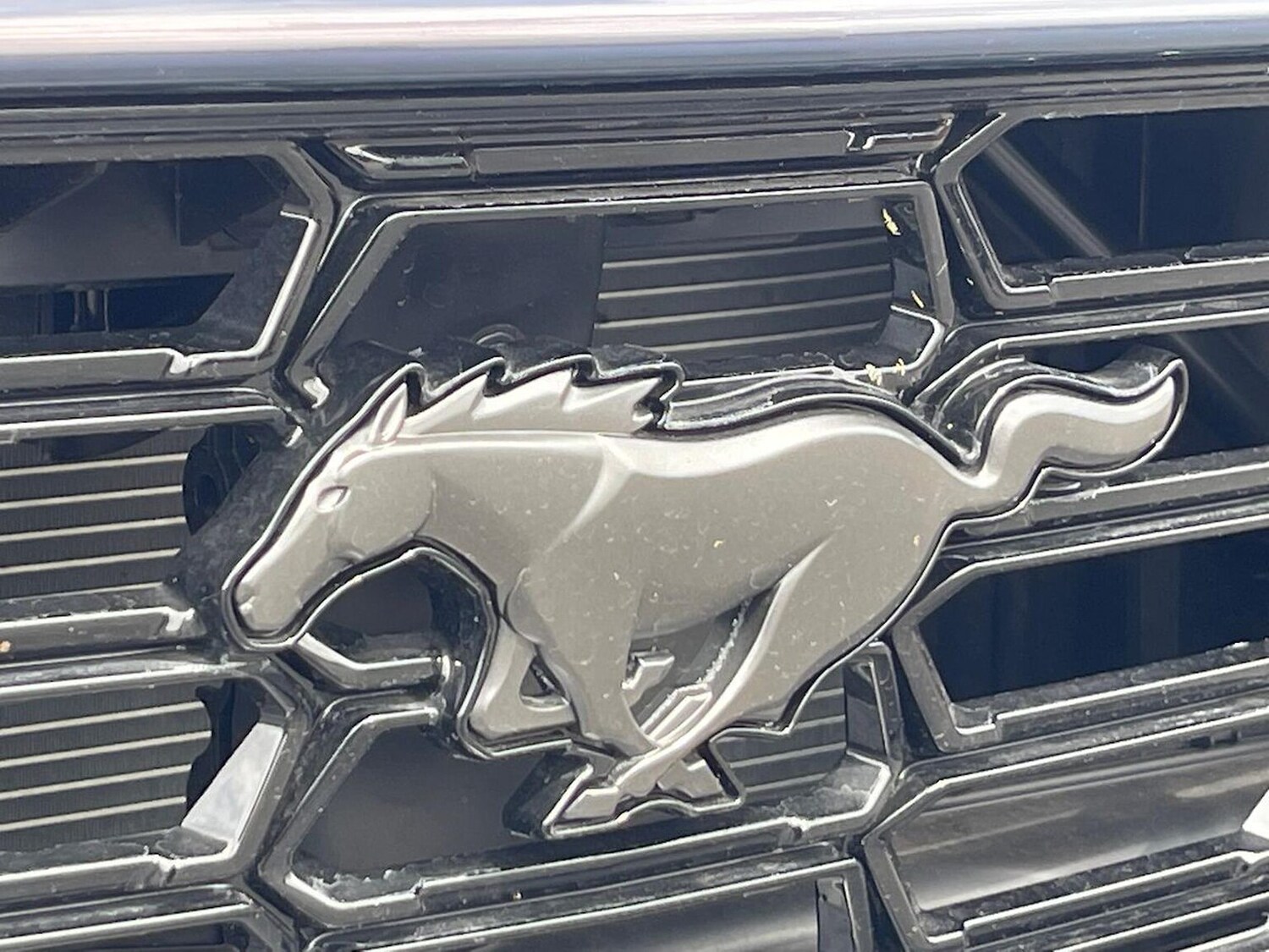 Used Ford Mustang 2025 for sale - 77489326: Photo 33