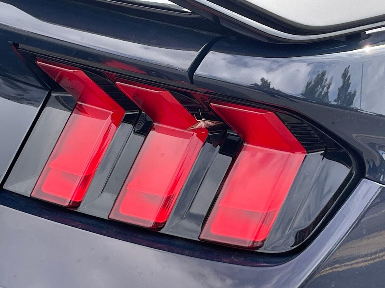 Used Ford Mustang 2025 for sale - 77489326: Photo 36