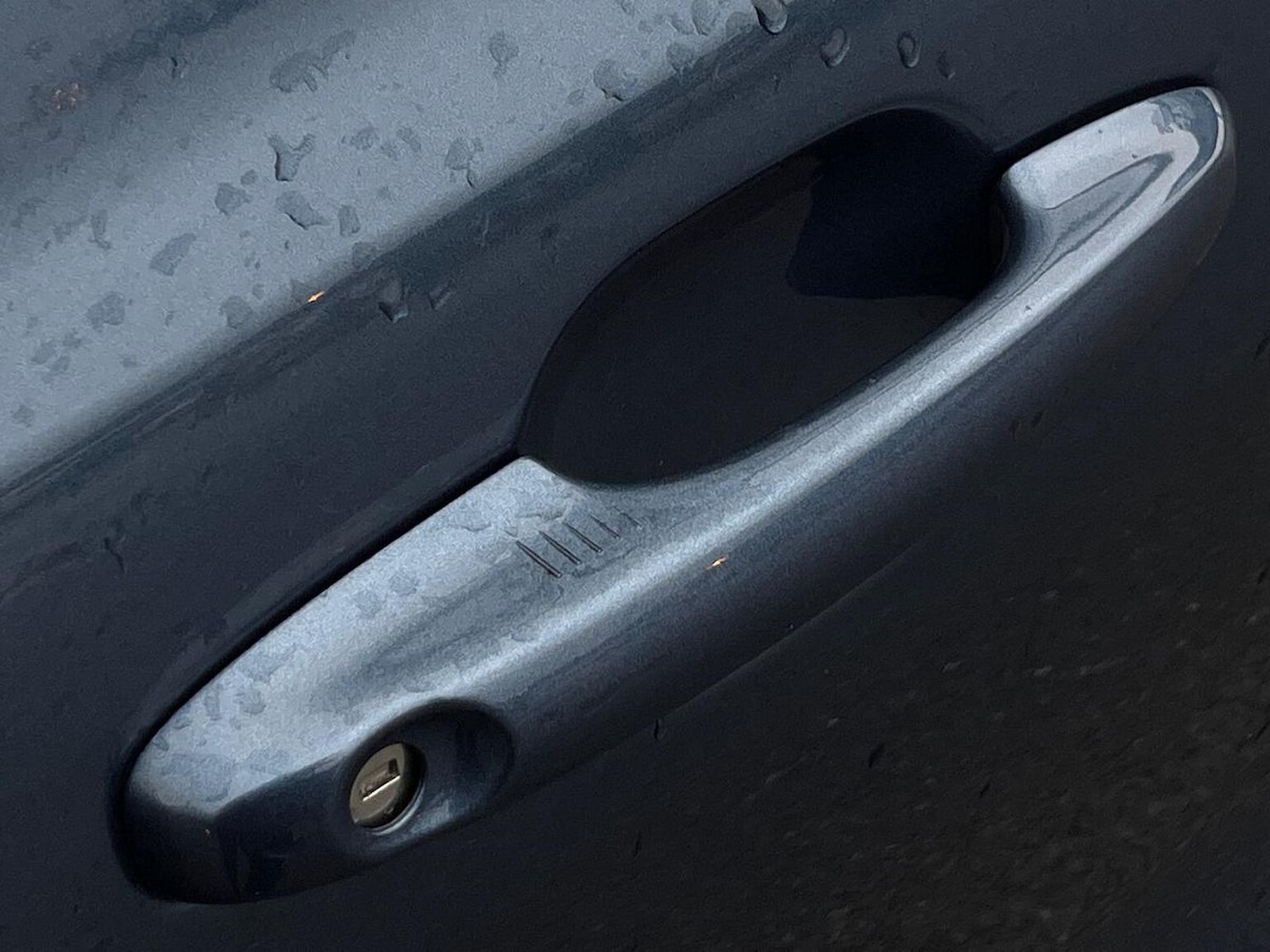 Used Ford Focus 2024 for sale - 77845331: Photo 37