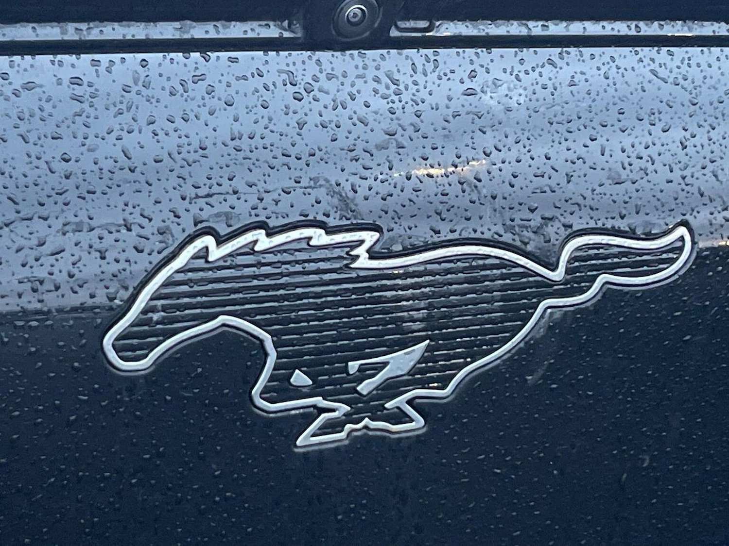 Used Ford Mustang Mach-E 2022 for sale - 76979882: Photo 33