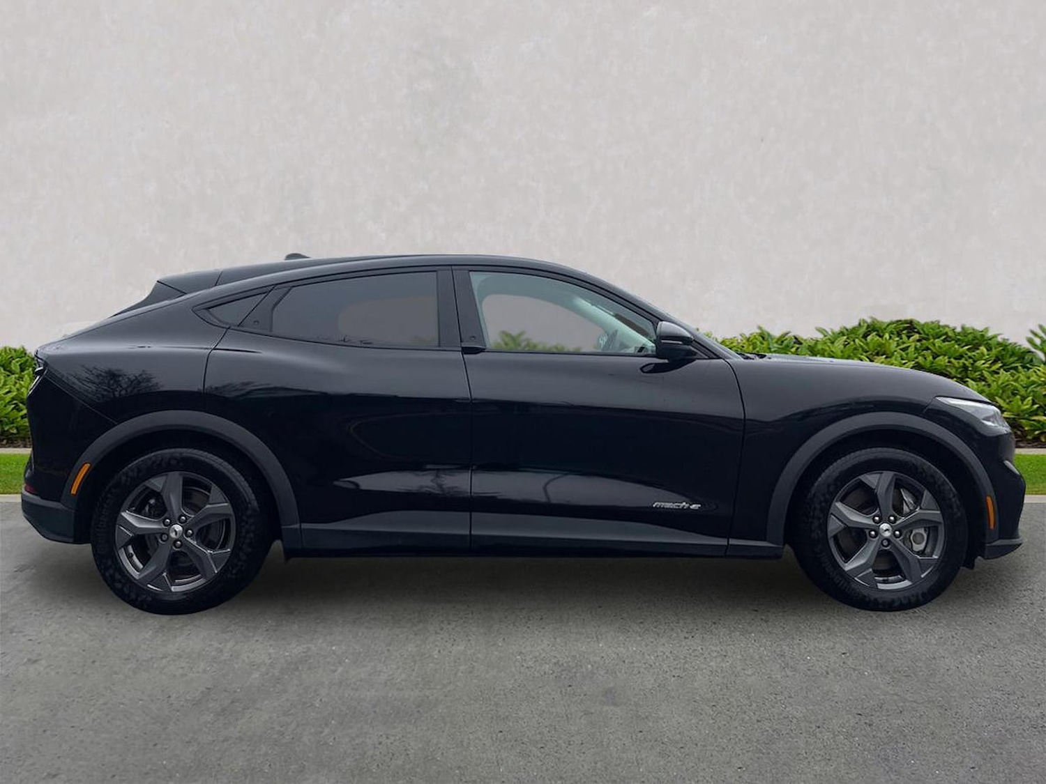 Used Ford Mustang Mach-E 2022 for sale - 77489261: Photo 3