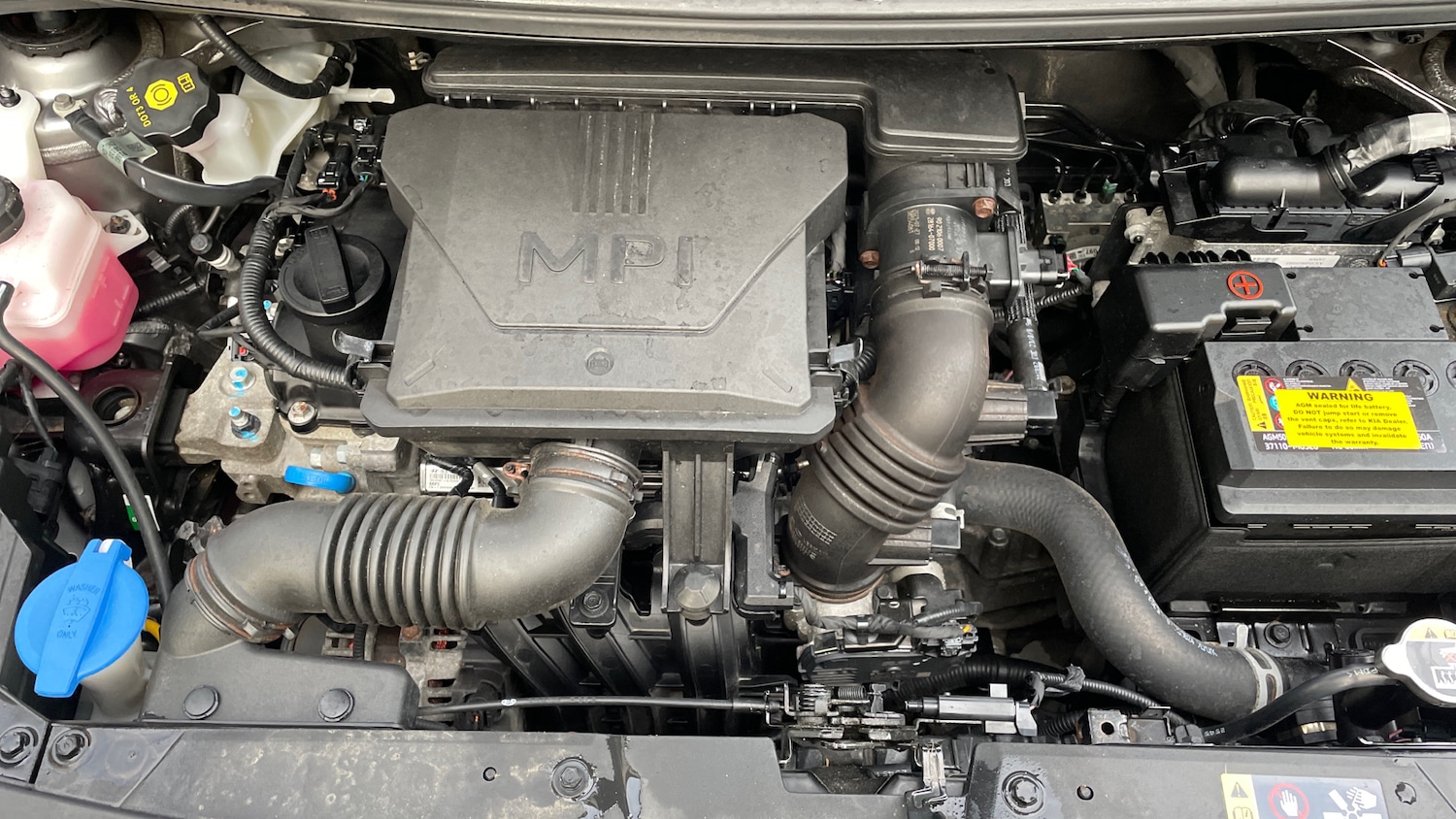 Used Kia Picanto 2023 for sale - 76324939: Photo 16