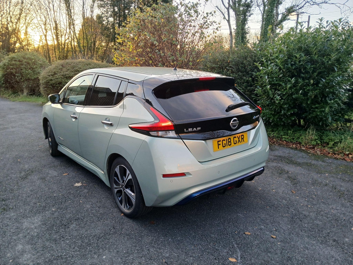 Used Nissan Leaf for sale - 77267875: Photo 5