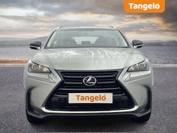 Used Lexus NX 2017 for sale - 77029874: Photo