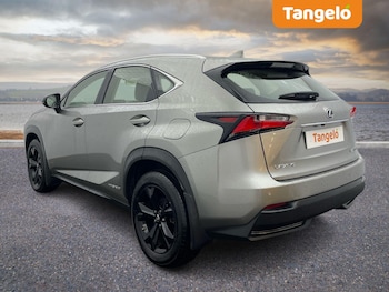 Used Lexus NX 2017 for sale - 77029874: Photo