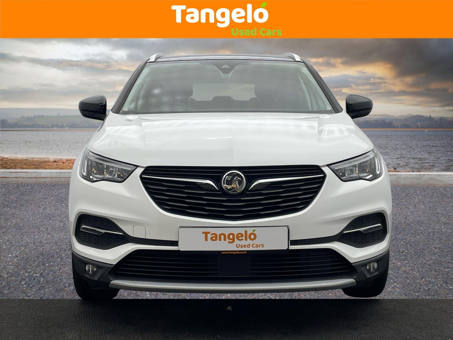 Used Vauxhall Grandland X 2020 for sale - 76688870: Photo 11