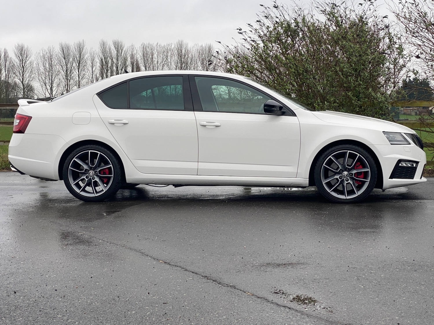 Used Skoda Octavia 2019 for sale - 77781322: Photo 19