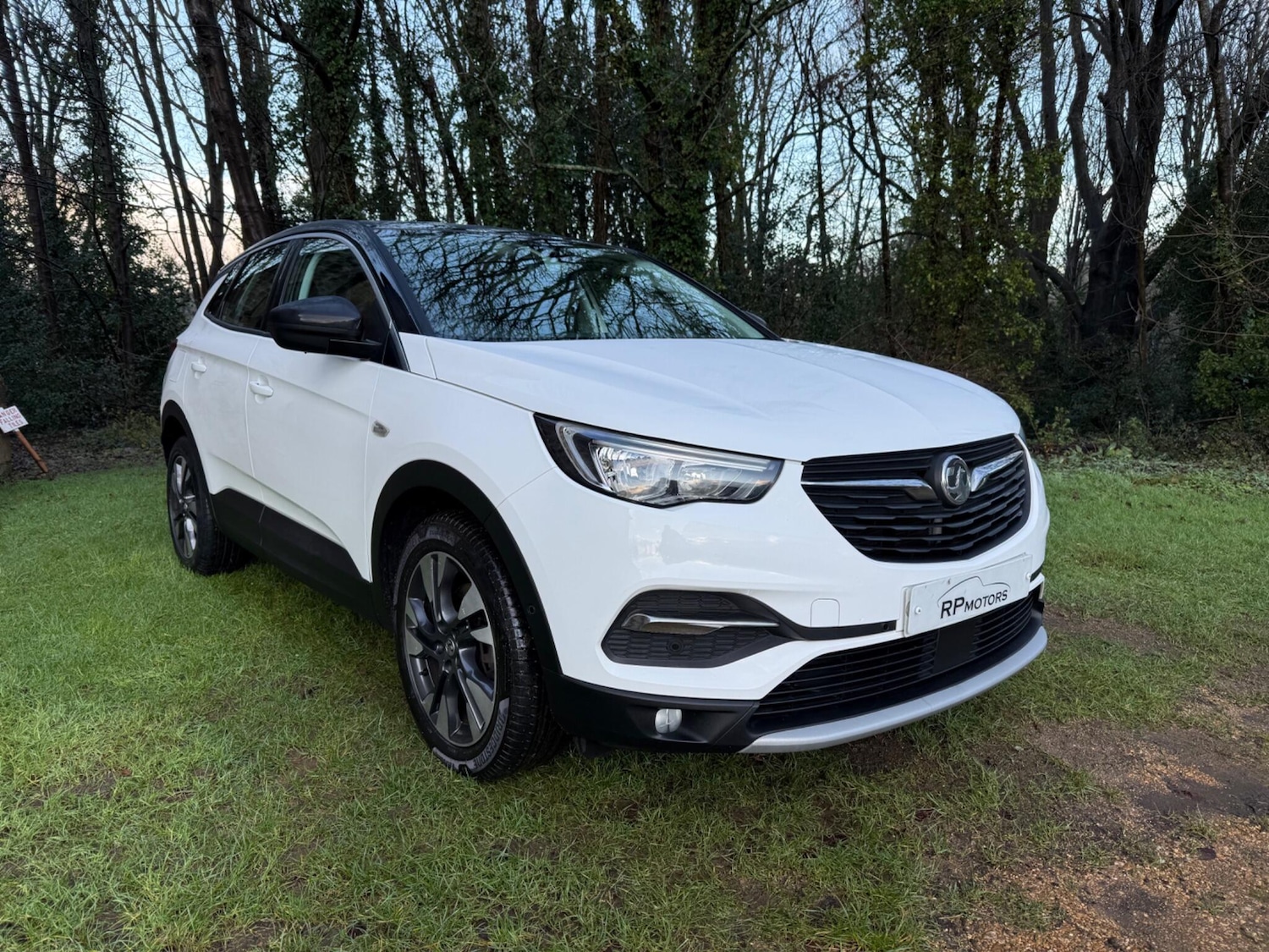 Used Vauxhall Grandland X 2019 for sale - 77230669: Photo 10